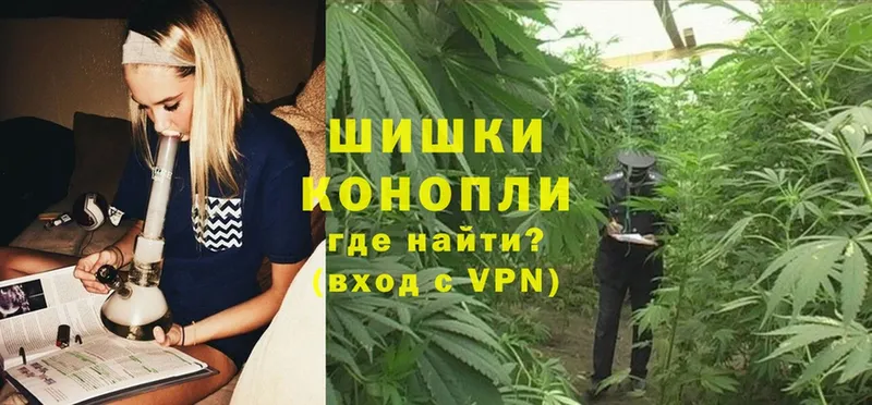 МЕГА ONION  наркотики  Киселёвск  Канабис Ganja 